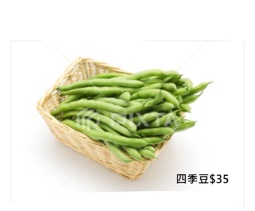 四季豆